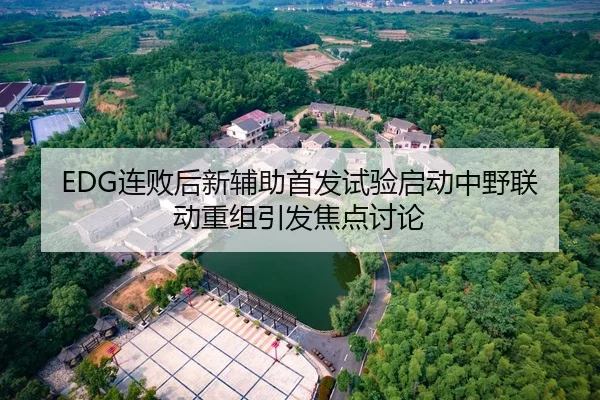 EDG连败后新辅助首发试验启动中野联动重组引发焦点讨论（www.jiuyou.conapp）